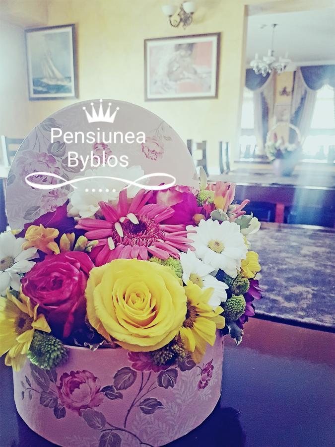 Pensiunea Byblos Пьятра-Нямц Экстерьер фото